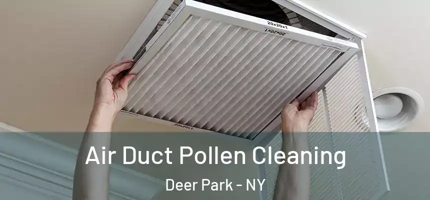  Air Duct Pollen Cleaning Deer Park - NY