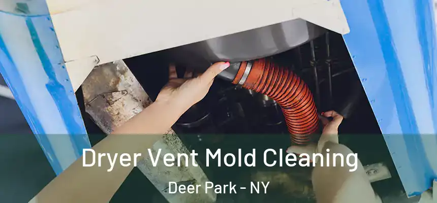  Dryer Vent Mold Cleaning Deer Park - NY