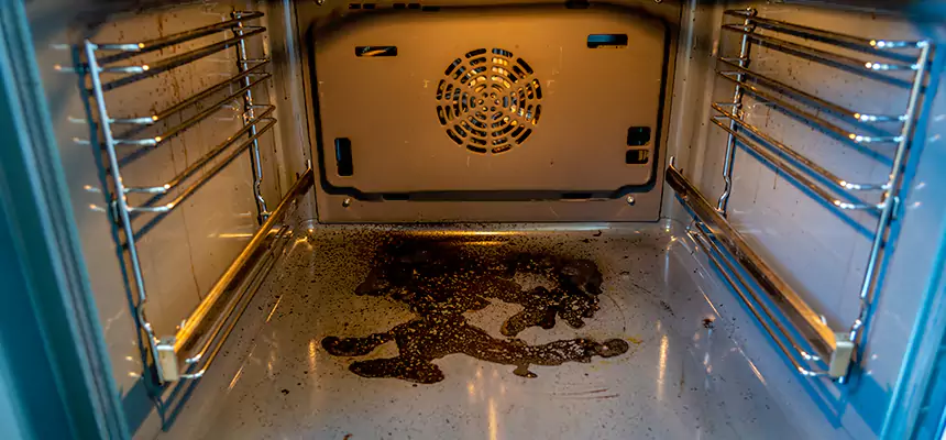 Our Dryer Vent Mold Cleaning Services in Deer Park, NY