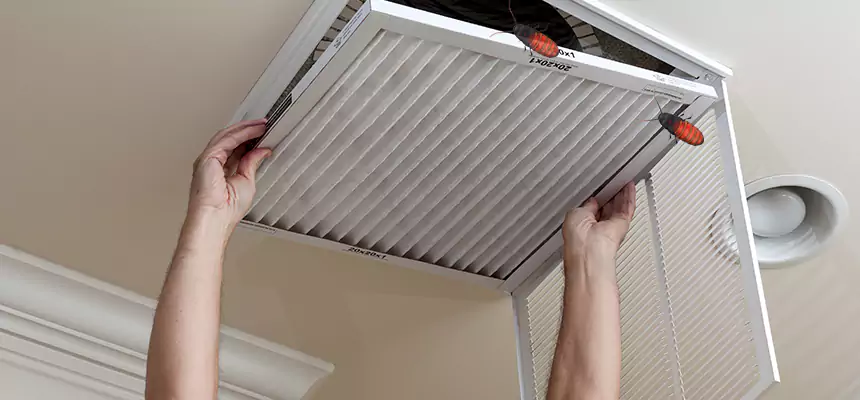Our Insect Removal from Air Ducts Services in Deer Park, NY