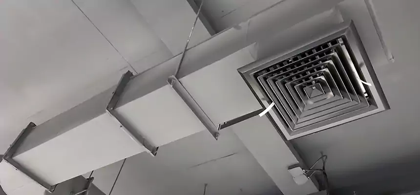 Our Pest Removal From Ducts Services in Deer Park, NY