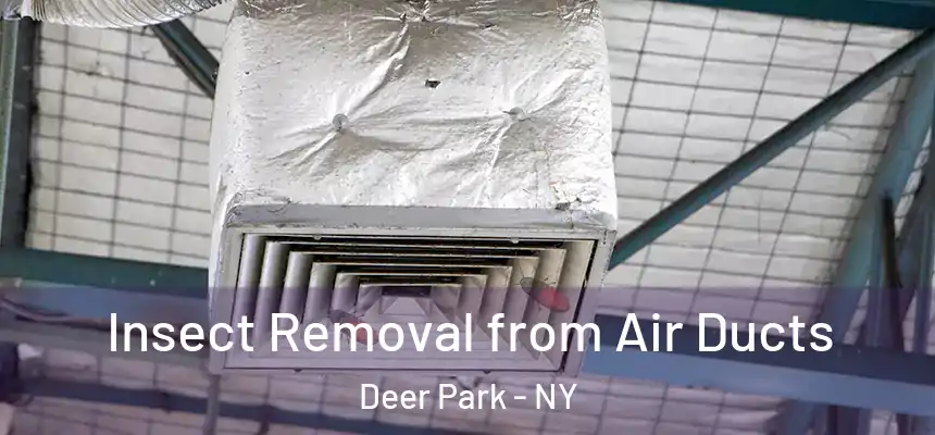 Insect Removal from Air Ducts Deer Park - NY