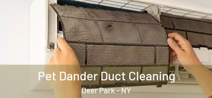Pet Dander Duct Cleaning Deer Park - NY