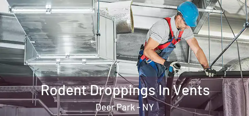 Rodent Droppings In Vents Deer Park - NY