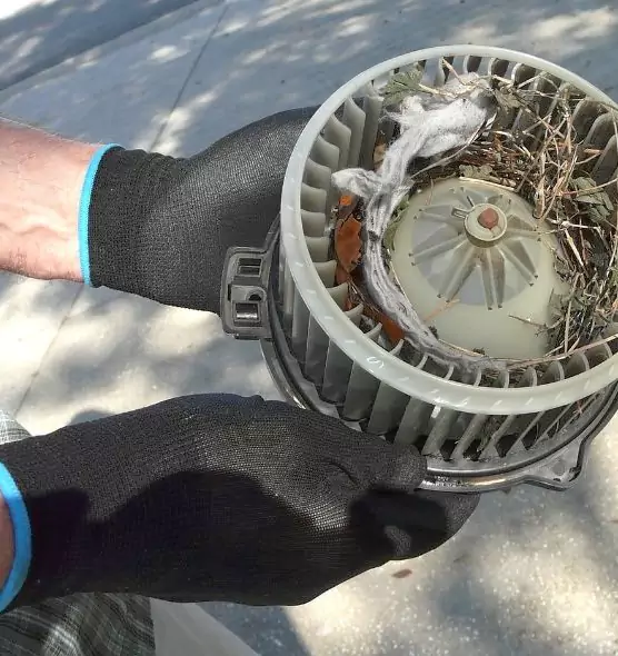 About Air Duct Mice Removal in Deer Park, NY