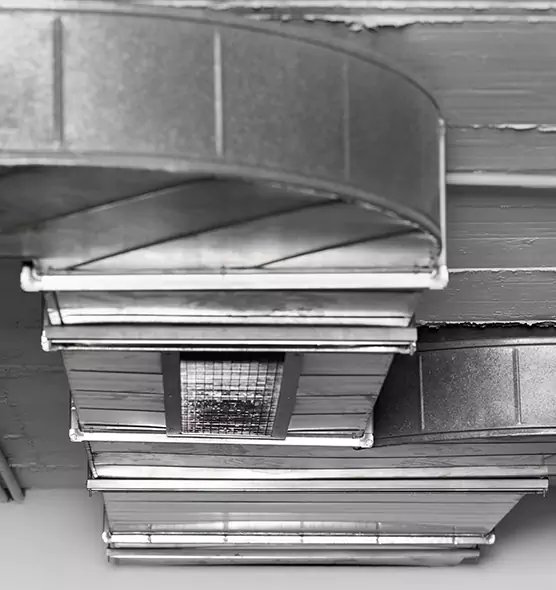 Professional Air Duct Pet Hair Removal in Deer Park, NY