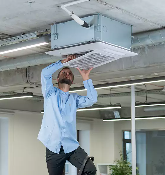 Advanced Rodent Droppings In Vents in Deer Park, NY