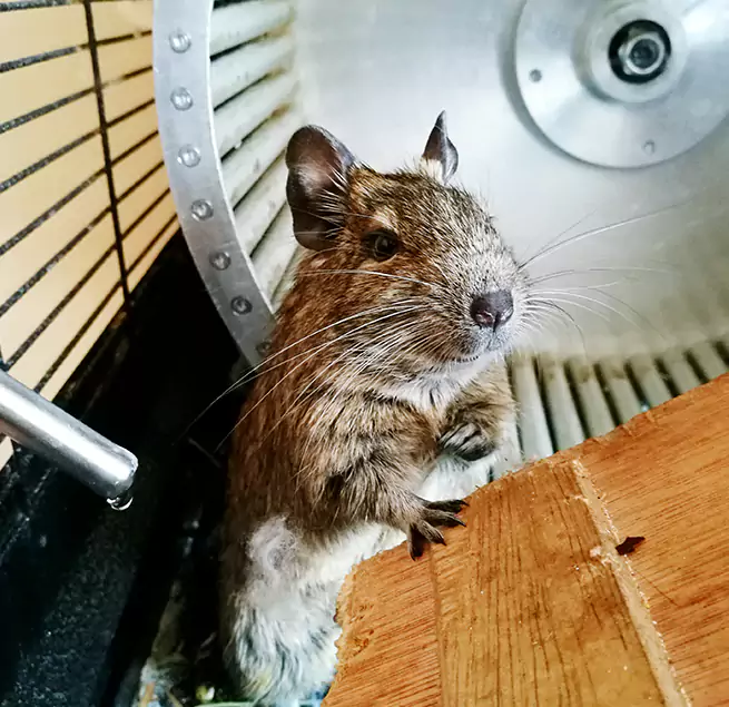 Why Homeowners & Businesses Trust Us Deer Park, NY