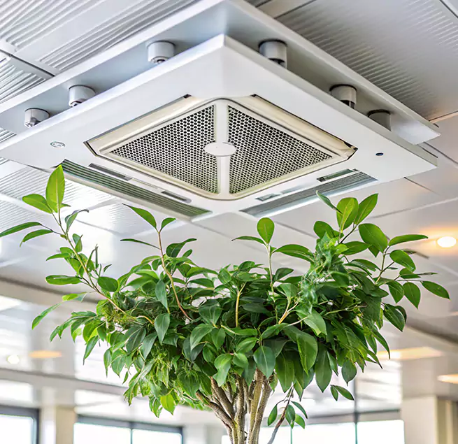 Why Homeowners & Businesses Trust Us in Deer Park, NY