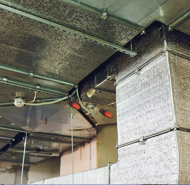 Why Homeowners & Businesses Trust Us Deer Park, NY?