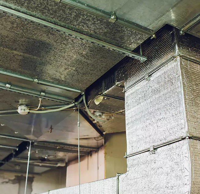 Why Homeowners & Businesses Trust Us in Deer Park, NY?